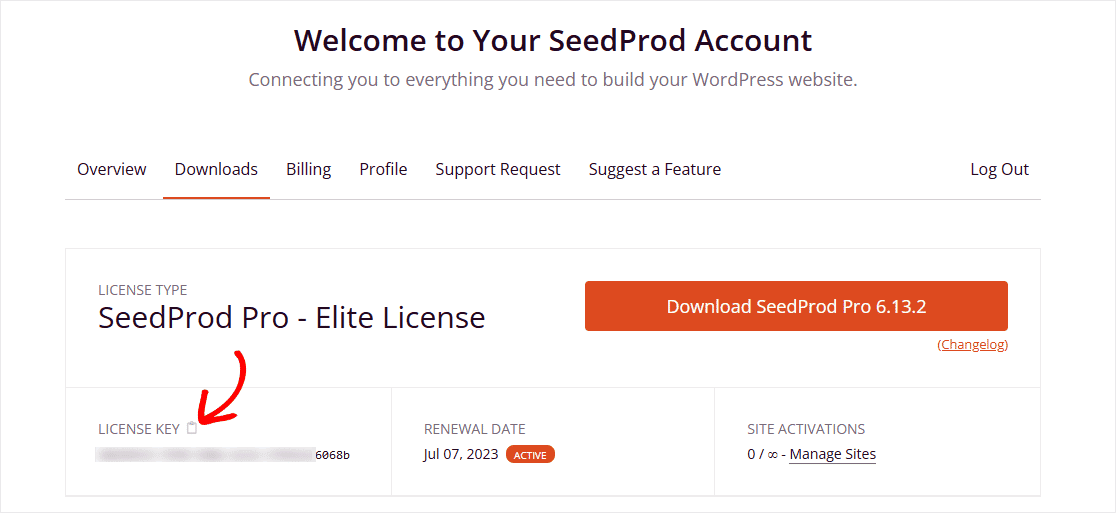Seedprod Wordpress Theme Builder License Key 