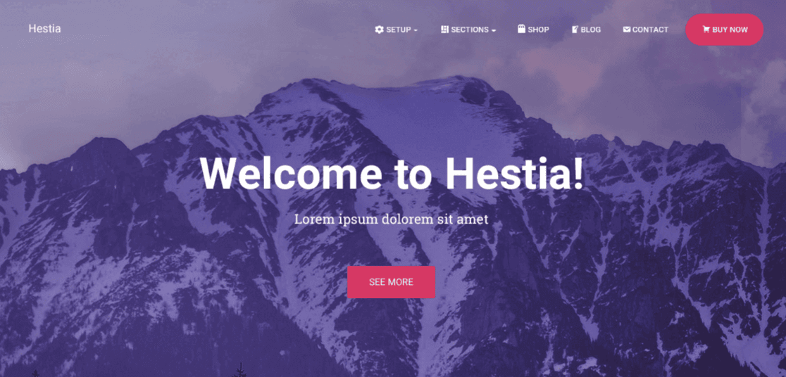 Hestia free theme WordPress