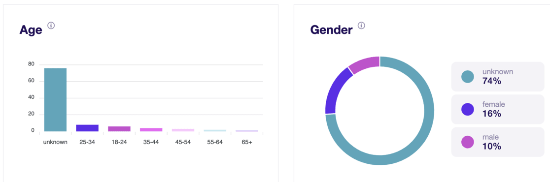 wordpress analytics - age and gender report